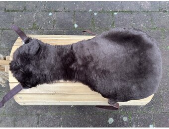 Opknapper zadelbontje boomloos L