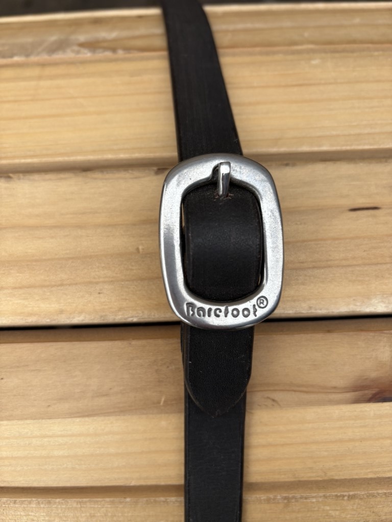 Syringa teugels bruin bordeaux nieuw