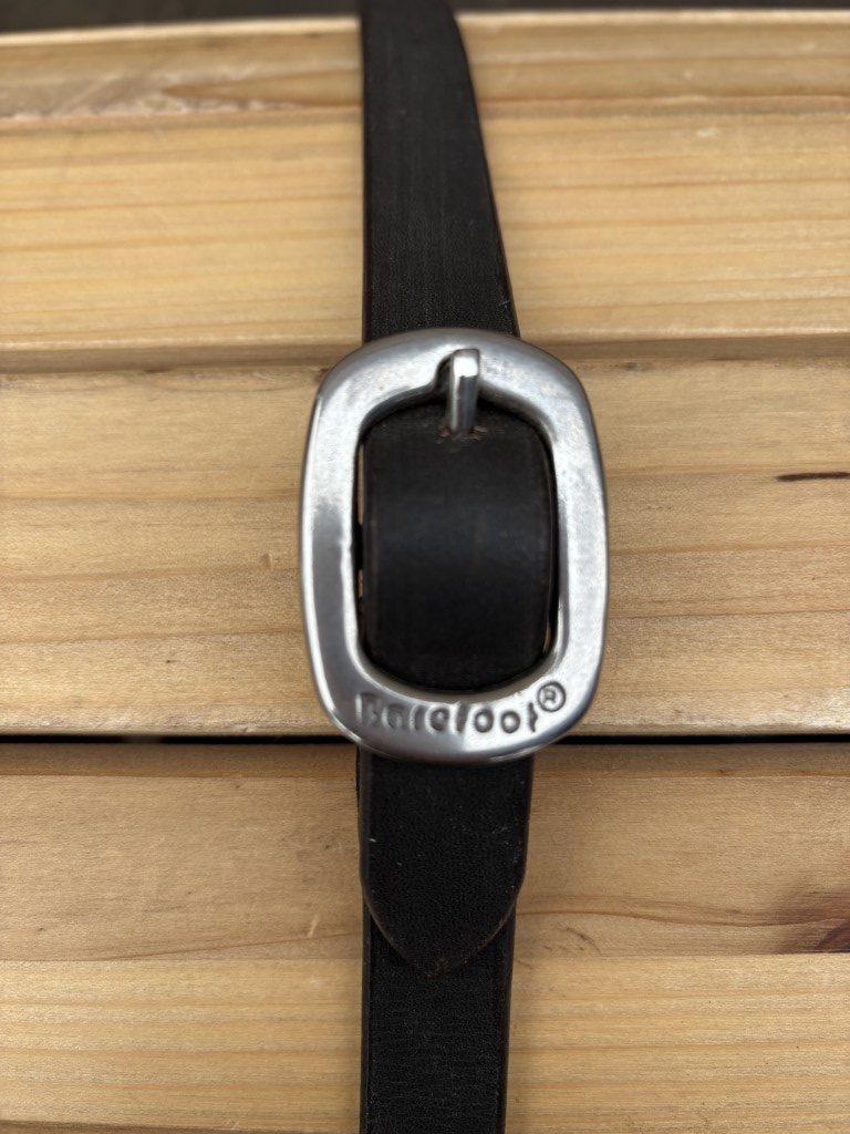 Syringa teugels bruin bordeaux nieuw