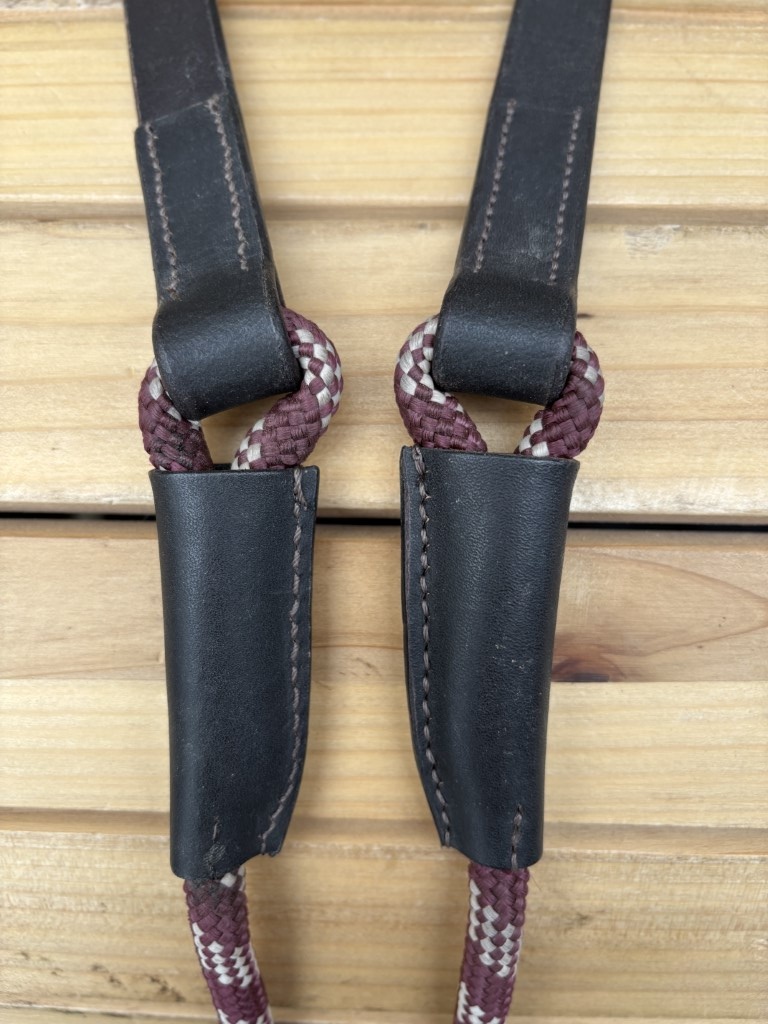 Syringa teugels bruin bordeaux nieuw