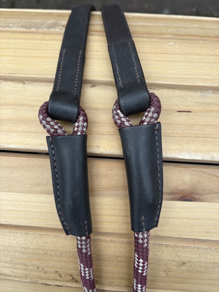 Syringa teugels bruin bordeaux nieuw