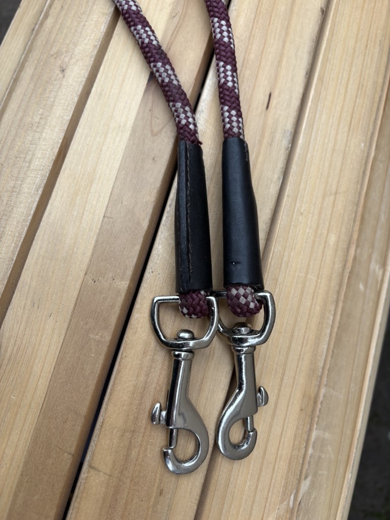 Syringa teugels bruin bordeaux nieuw