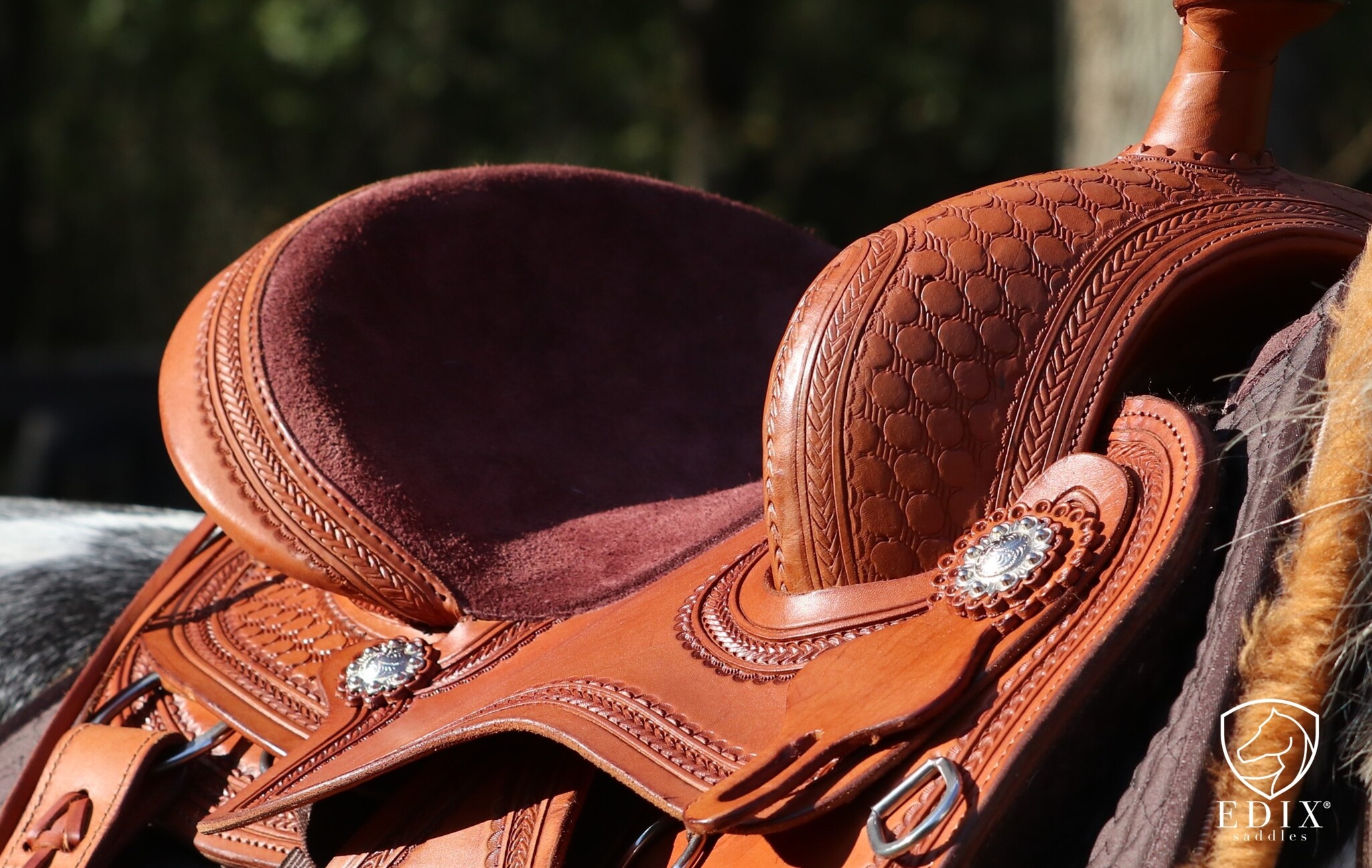 Western Test saddle Django size M