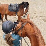 Trifecta Cotton half pad zwart