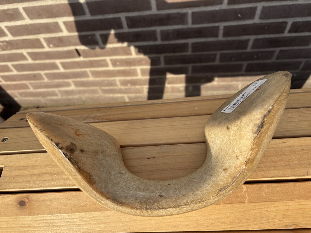 Alte model Wechselzwiesel masse M