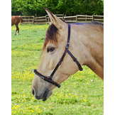 Academische kaptoom Barok