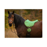 Ride on Pad Physio Reitpad