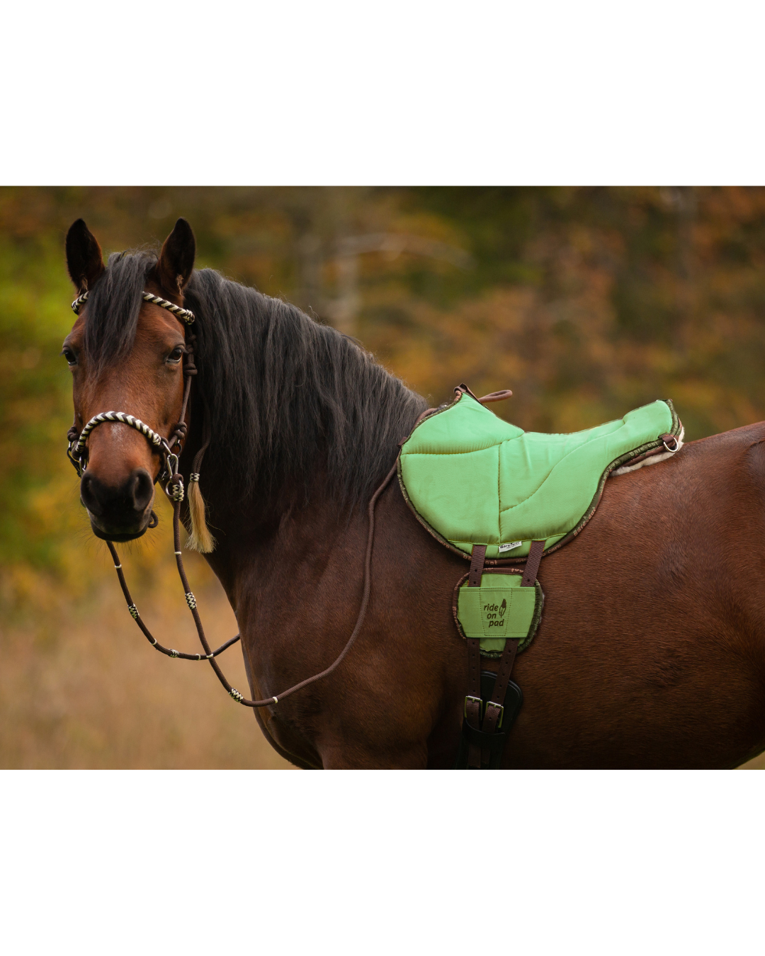 Ride on Pad Physio Reitpad