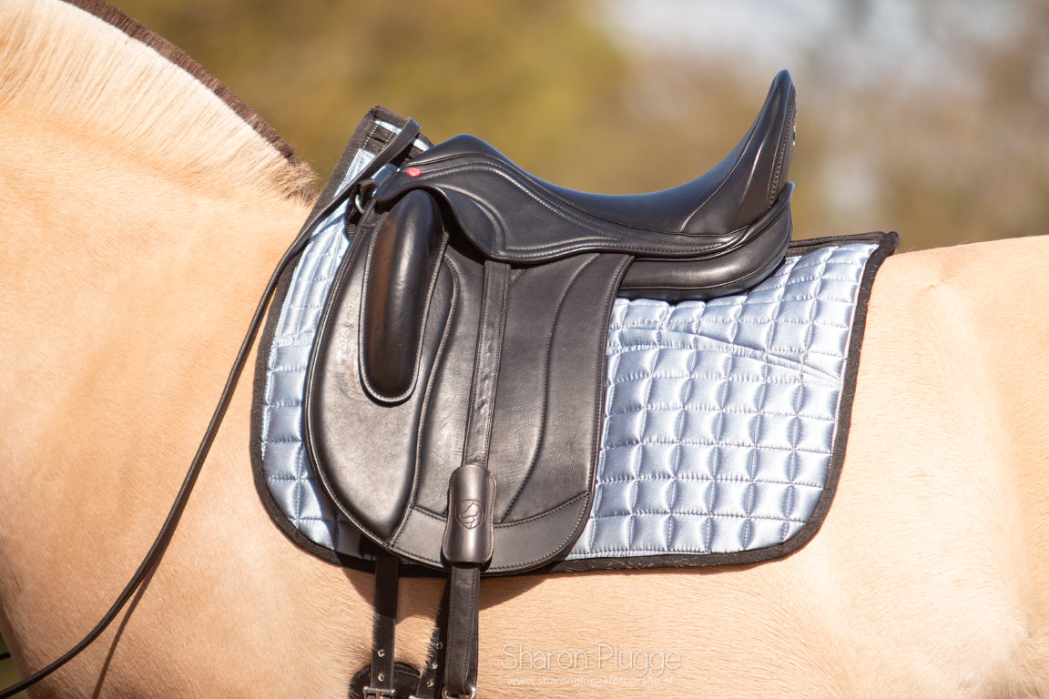 Test saddle Ishya 18 inch dressage