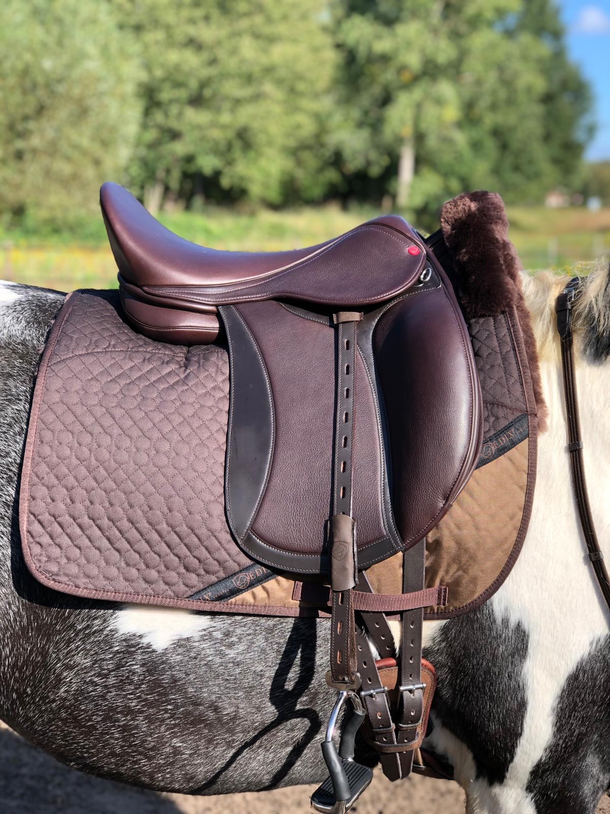 Test saddle Tudor 17,5 inch dressage