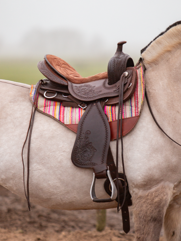 Western Testsattel Oakley masse M