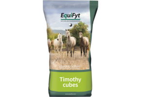 Timothy Cubes