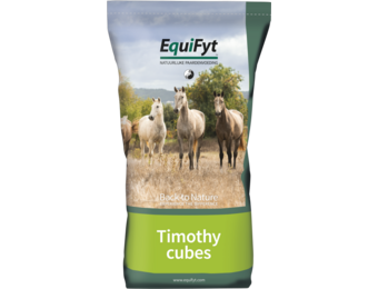 Timothy Cubes