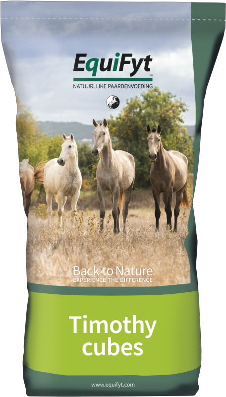 Timothy Cubes Timothee