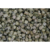 Timothy Cubes Timothee