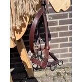 B Wahl Academic Kapsum masse Vollblut oder Warmblut braun