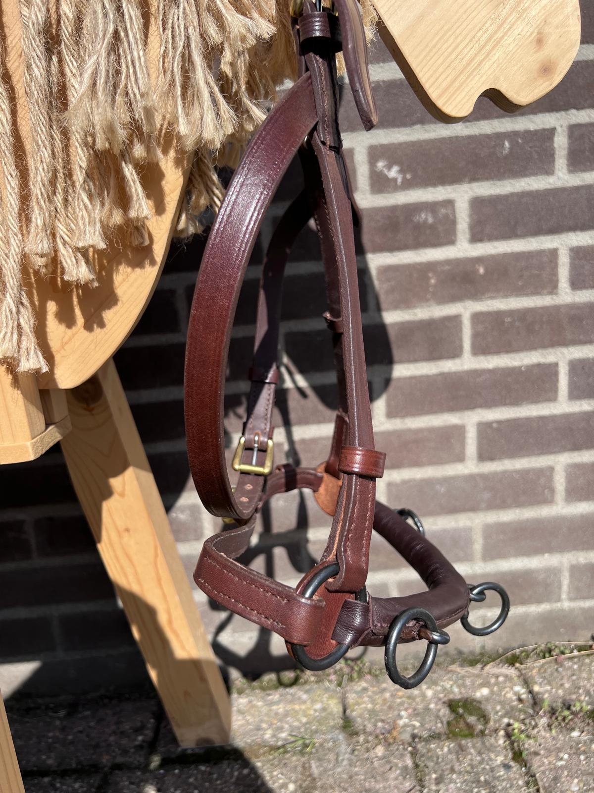 B Wahl Academic Kapsum masse Vollblut oder Warmblut braun