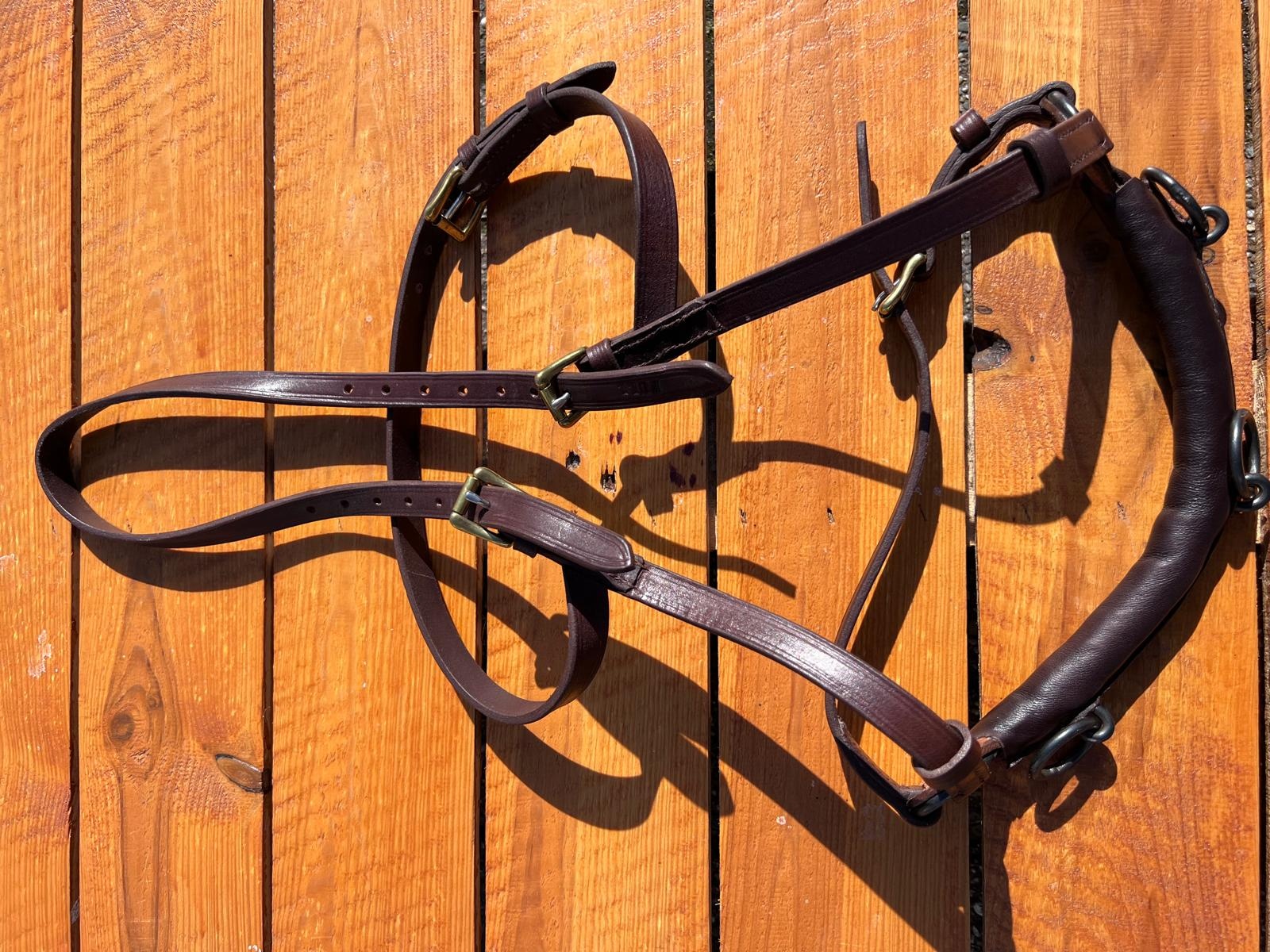 B Wahl Academic Kapsum masse Vollblut oder Warmblut braun