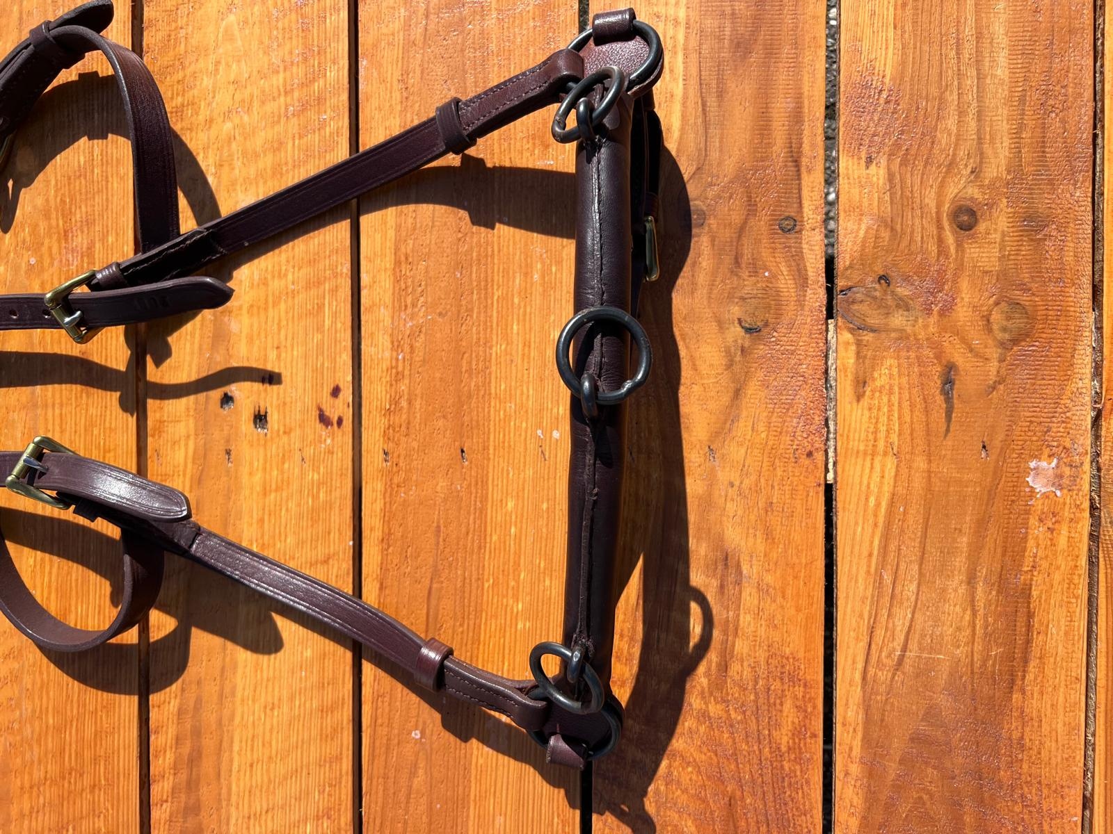 B choice Academic Kapsum size cob or full brown