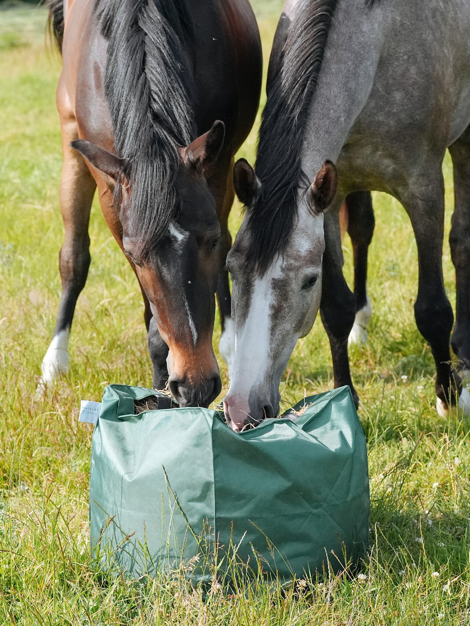 HayKub the new genaration hay bag
