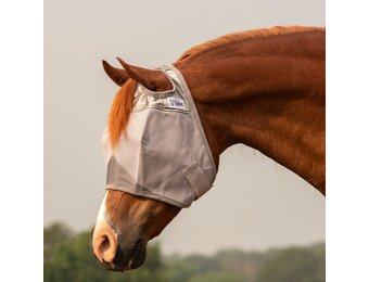 Crusader fly mask