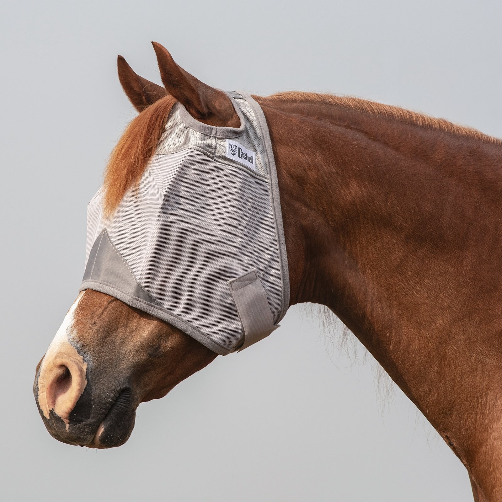 Crusader fly mask  without ear and nose protection