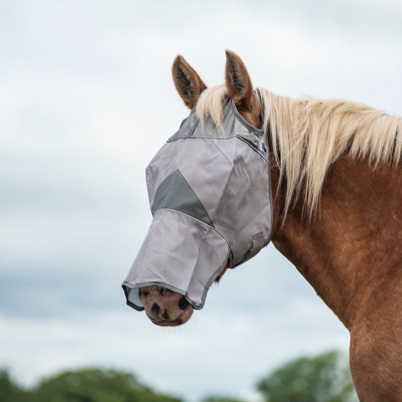 Crusader fly mask with nose UV resistant