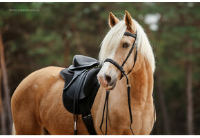 Test saddle Merlyn size 0