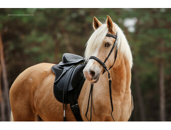 Testzadel Merlyn maat 0