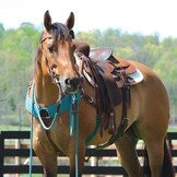 Ecoluxe western rope reins bamboo