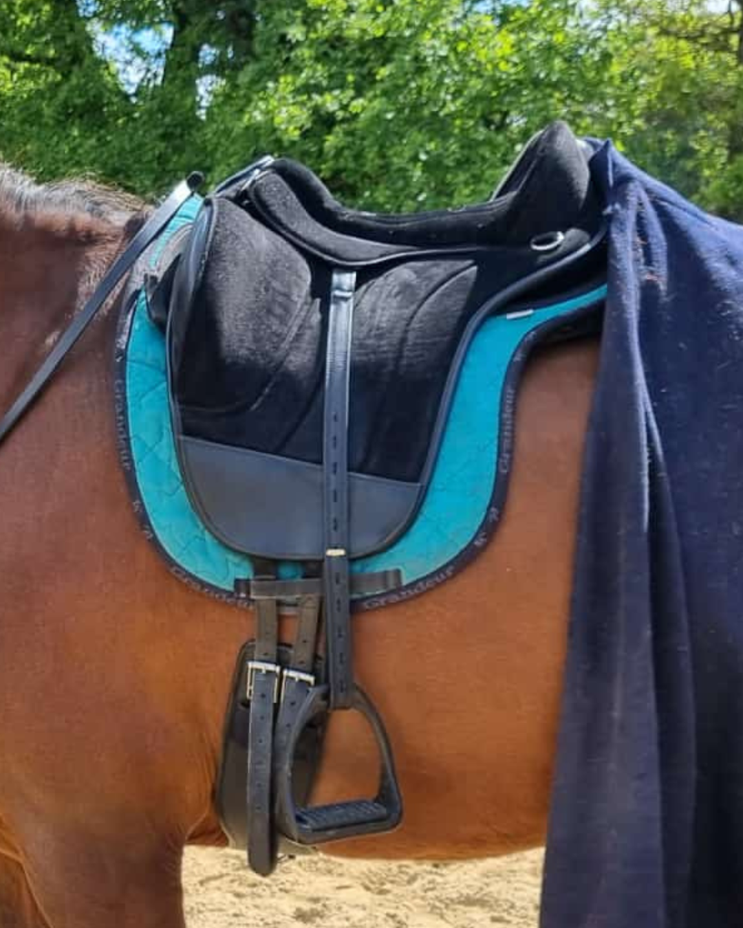TEST Bareback Pad Union