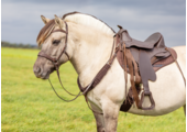 Borsttuig Roper