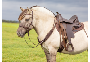 Brustgeschirr Roper