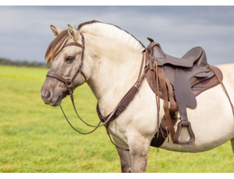 Borsttuig Roper
