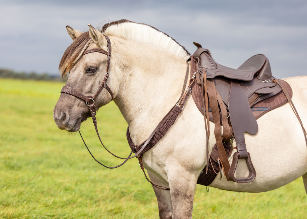 Breastcollar Roper wool and leather