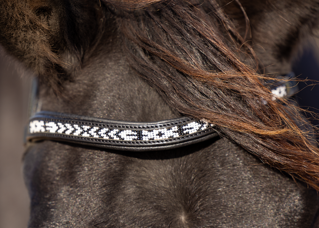 Brightstar frontriem voor hackamore of sidepull