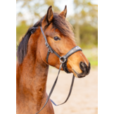 Sidepull Brightstar bitless bridle ED2
