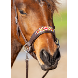 Sidepull Brightstar bitless bridle ED2