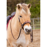 Sidepull Brightstar bitless bridle ED2