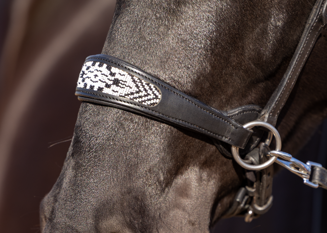 Sidepull Brightstar bitless bridle ED2