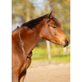Brightstar cordeo neckrope