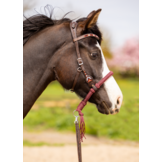 Brightstar Western Zaumung ED3
