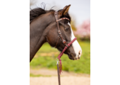 Brightstar hoofdstel