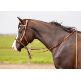 Brightstar westernhoofdstel ED3