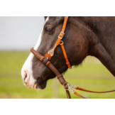 Brightstar western bridle ED3