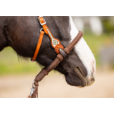 Brightstar westernhoofdstel ED3