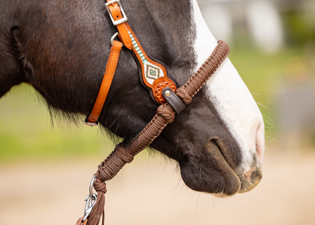 Brightstar westernhoofdstel ED3