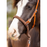 Brightstar westernhoofdstel ED3