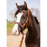 Brightstar western bridle ED3
