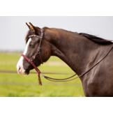 Brightstar western bridle ED3